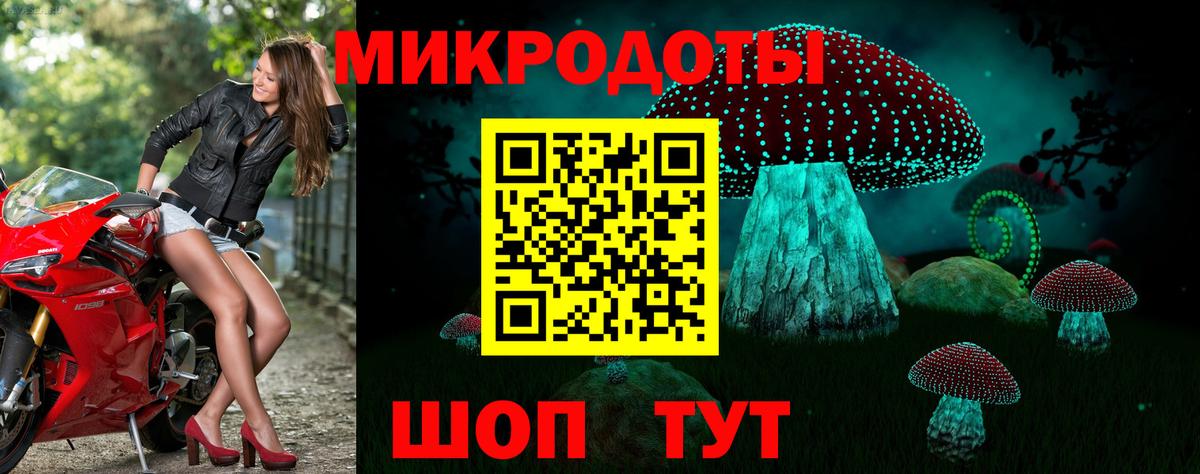 Рассказово  Галлюциногенные грибы Cubensis  как найти   Вход с VPN 